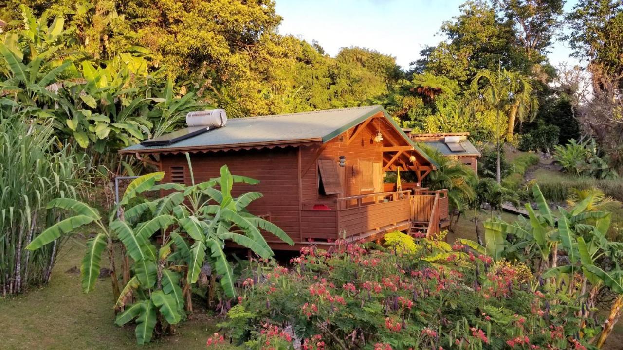 Les Bananes Vertes Ecolodges Сент-Клод Екстер'єр фото